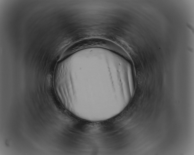 X0000091530071200709071050