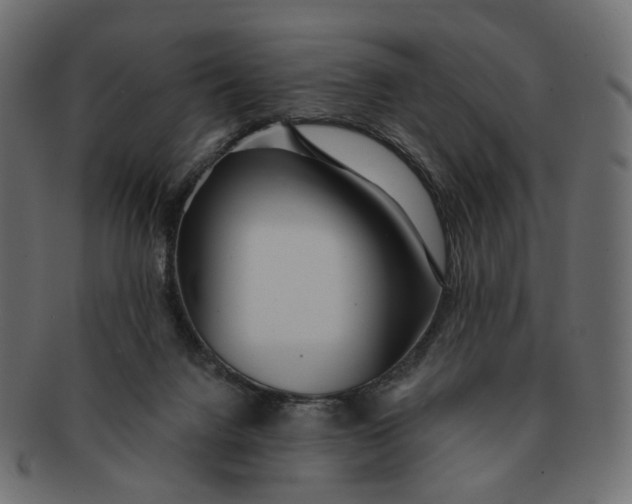 X0000091530072200709071050