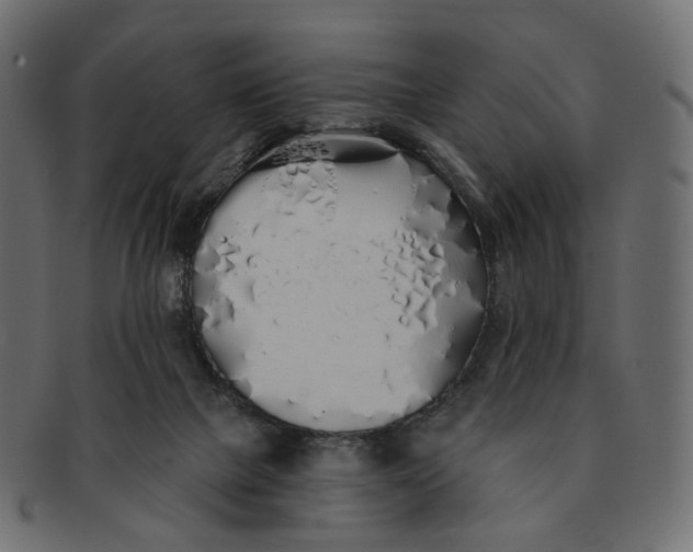 X0000091530073200709071050