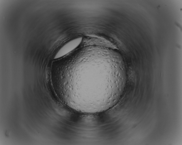 X0000091530074200709071050