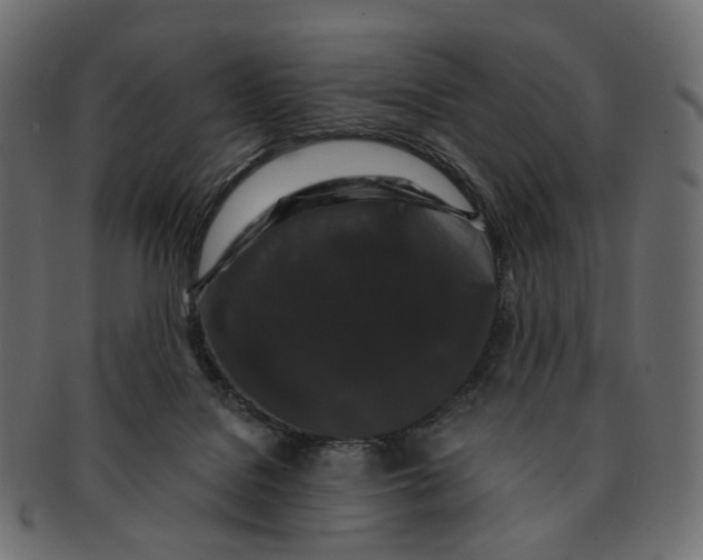 X0000091530076200709071050