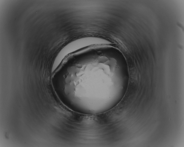 X0000091530077200709071050