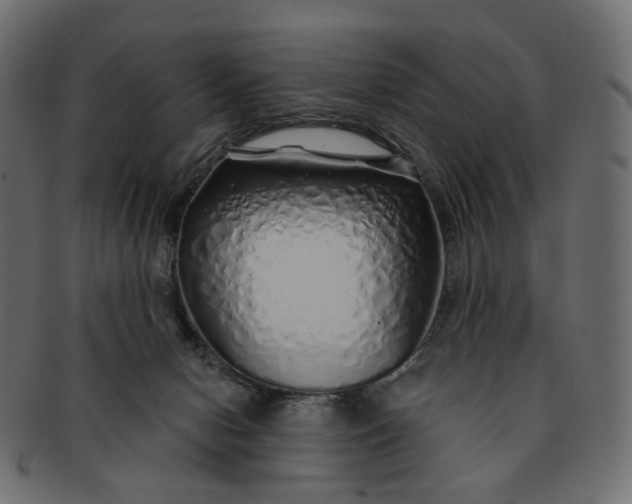 X0000091530078200709071050