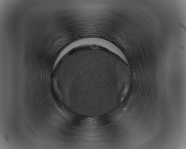 X0000091530080200709071051