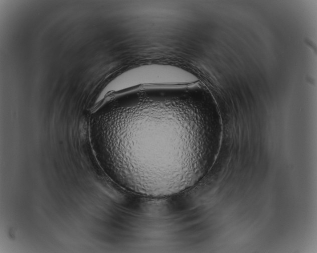 X0000091530081200709071051