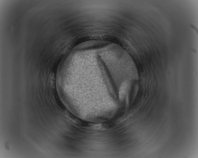 X0000091530083200709071051