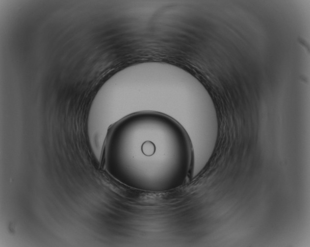 X0000091530084200709071051