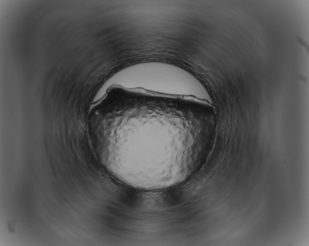 X0000091530085200709071051