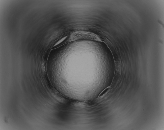 X0000091530086200709071051
