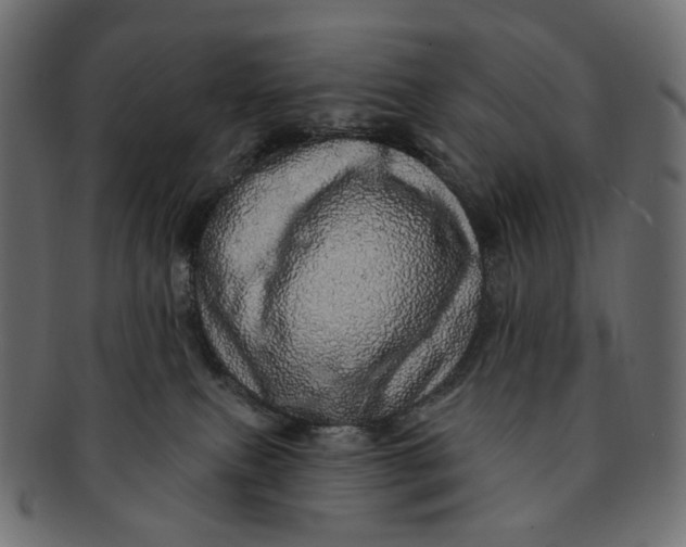 X0000091530087200709071051