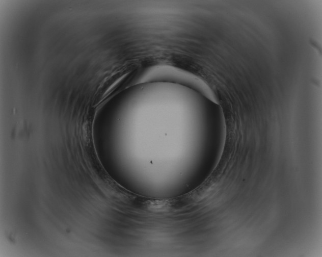 X0000091530088200709071051