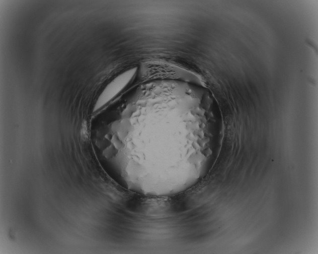 X0000091530089200709071051