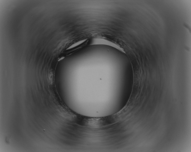 X0000091530090200709071051