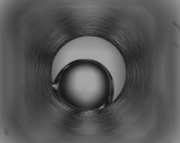 X0000091530092200709071051