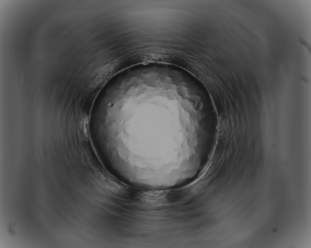 X0000091530094200709071051