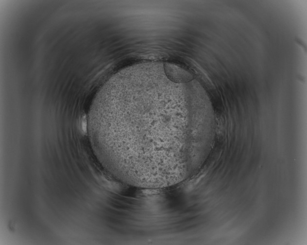 X0000091530095200709071051