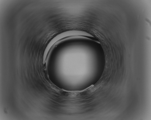 X0000091530096200709071051