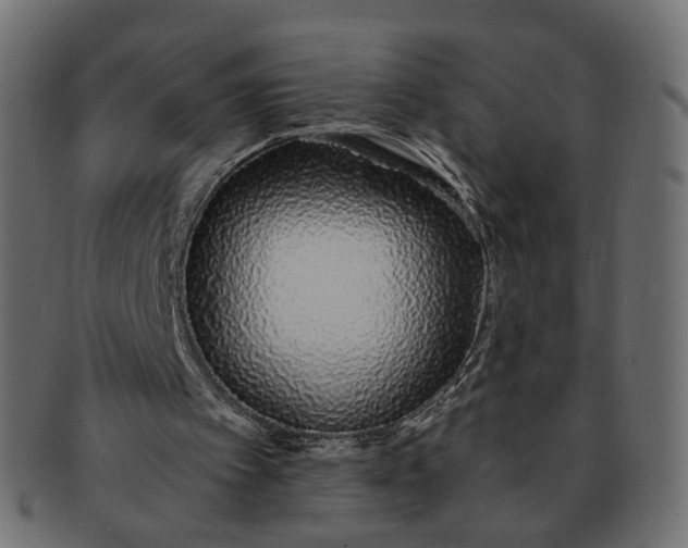 X0000091530097200709071050