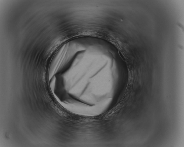 X0000091530098200709071050