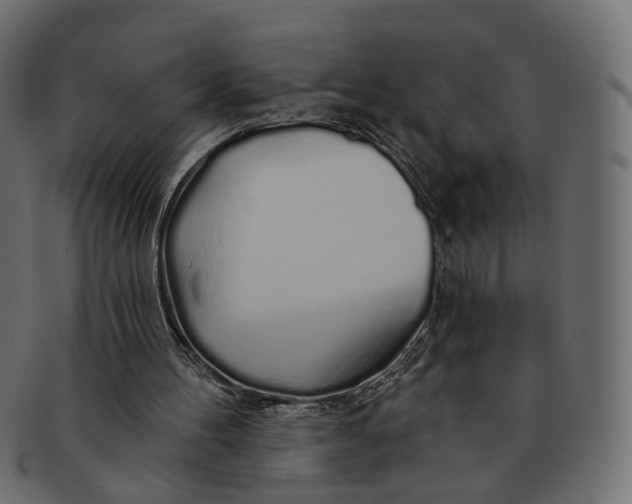 X0000091530100200709071050
