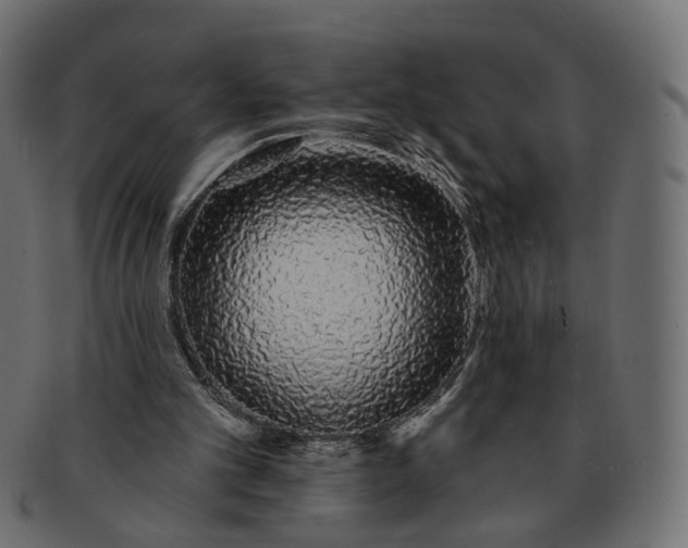 X0000091530101200709071050