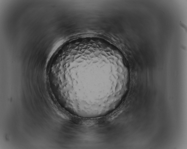 X0000091530102200709071050