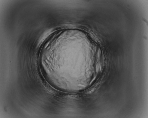 X0000091530103200709071050