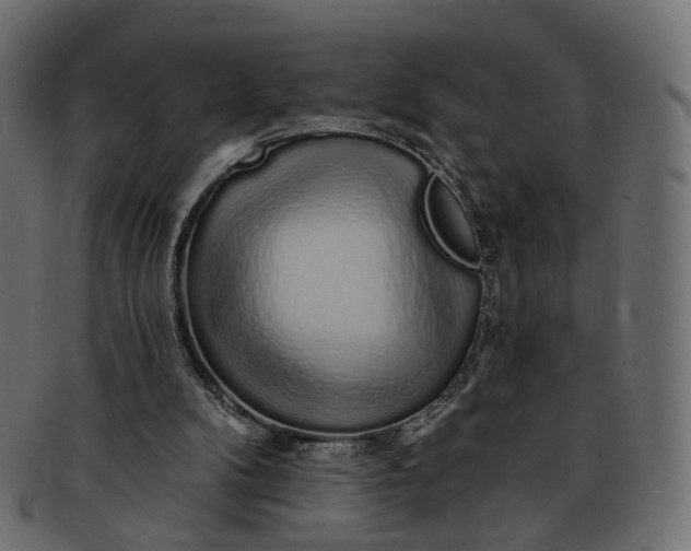 X0000091530104200709071050