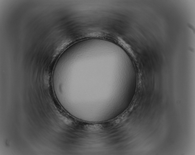 X0000091530106200709071050