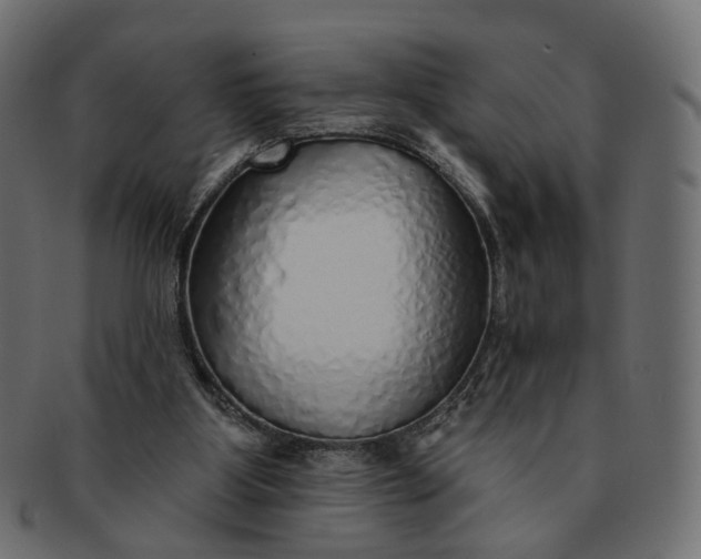 X0000091530107200709071050