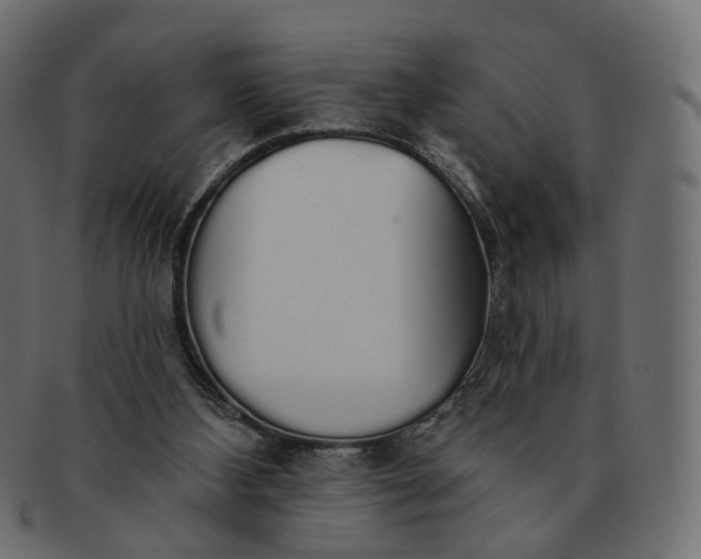 X0000091530108200709071050