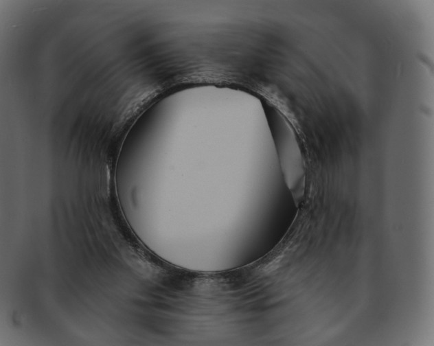 X0000091530109200709071050