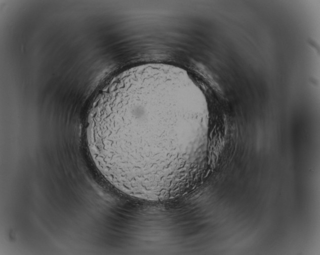 X0000091530110200709071050