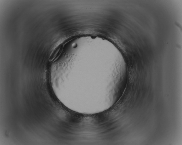 X0000091530111200709071050
