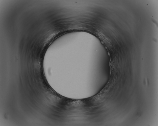 X0000091530112200709071050