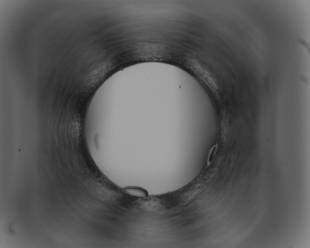 X0000091530113200709071050