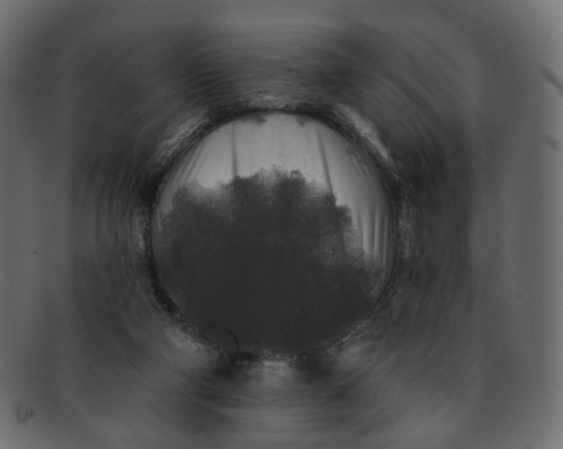 X0000091530114200709071050