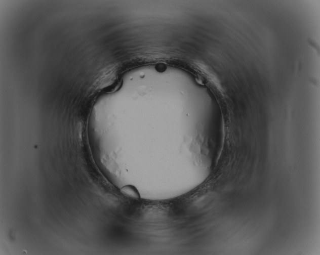 X0000091530115200709071050