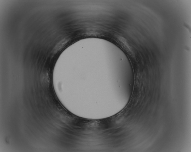 X0000091530116200709071050