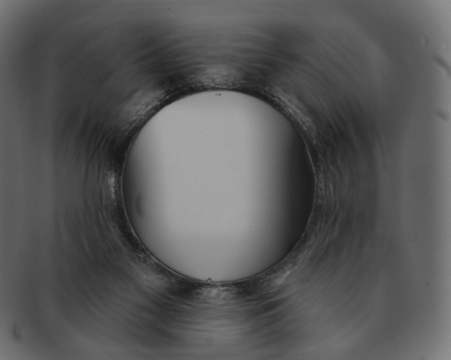 X0000091530117200709071050