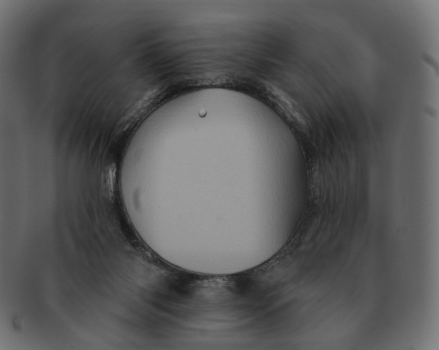 X0000091530118200709071050