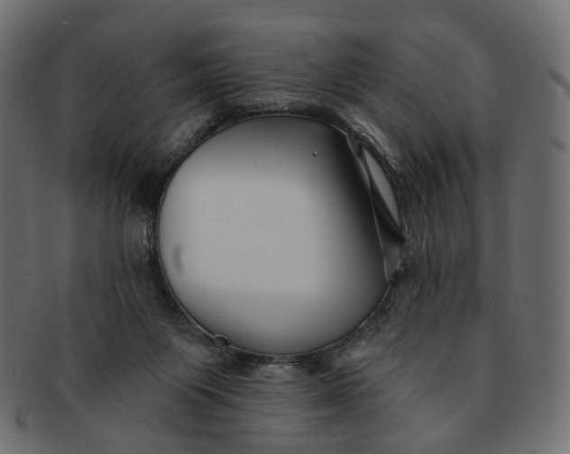 X0000091530119200709071050