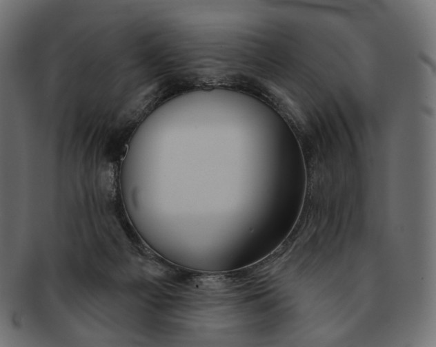 X0000091530121200709071050
