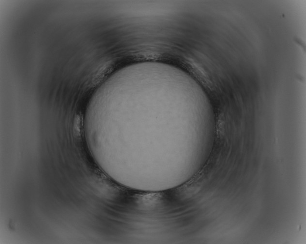 X0000091530122200709071050