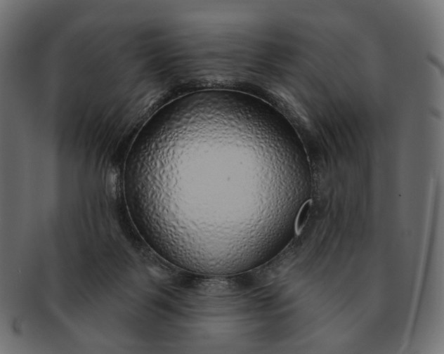 X0000091530123200709071050