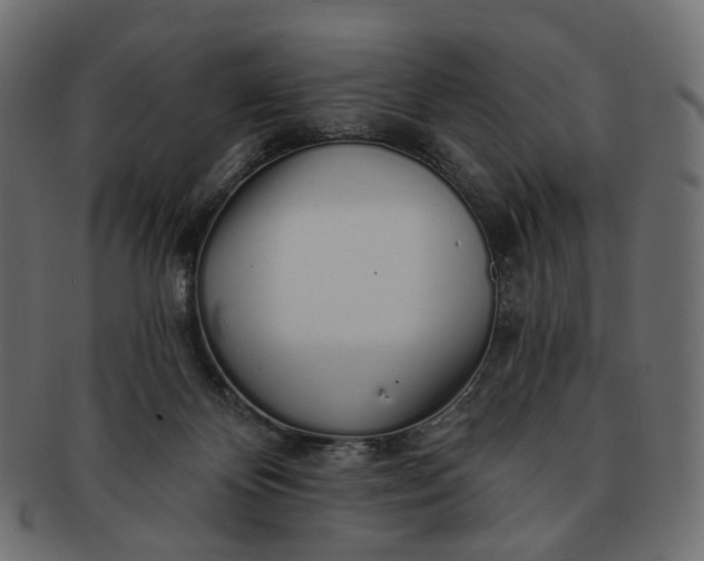 X0000091530124200709071050