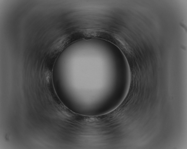 X0000091530125200709071050