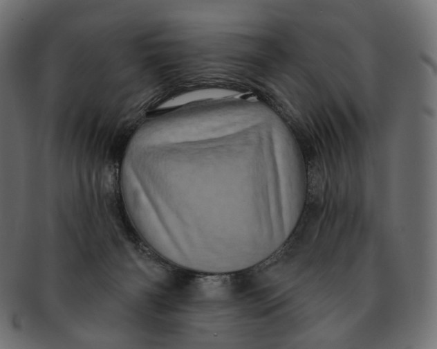 X0000091530126200709071050