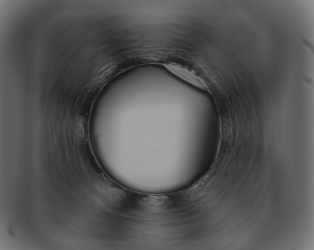 X0000091530128200709071050
