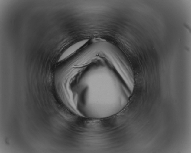 X0000091530132200709071050